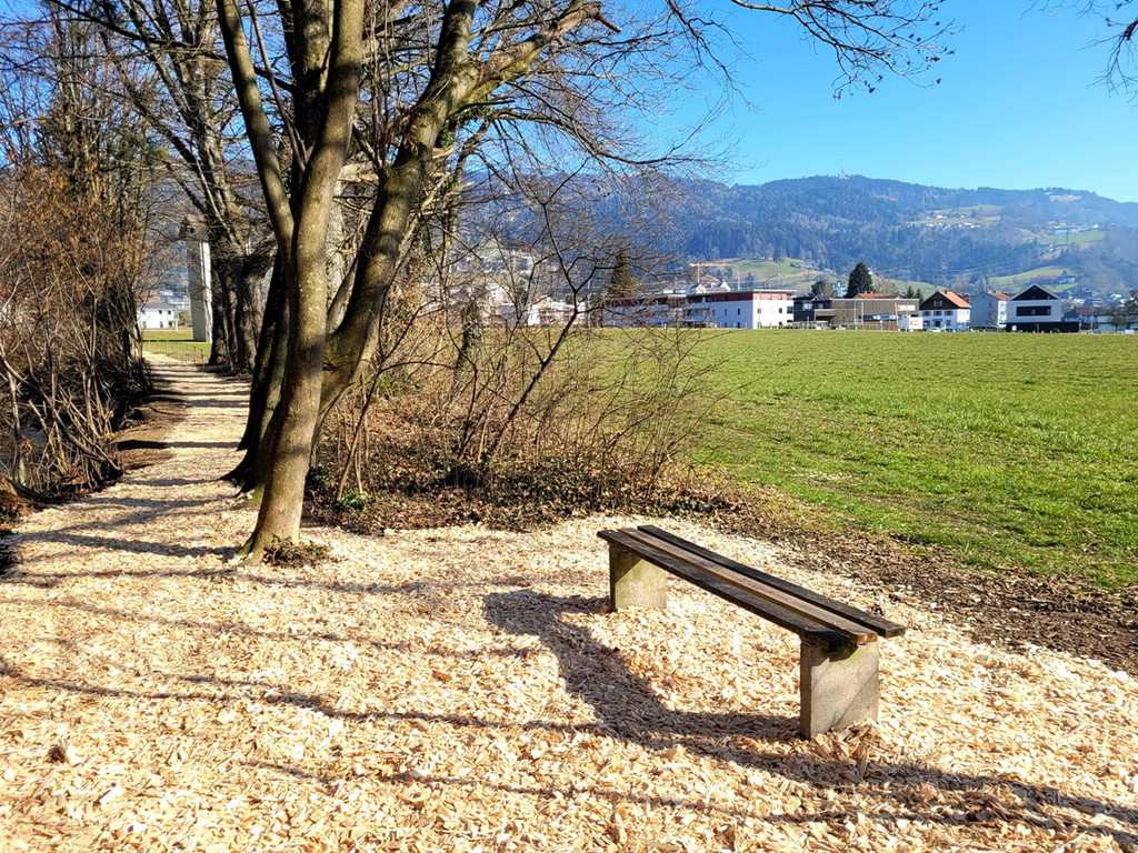 Wege INSTANDSETZUNG 10-03-2022 _25_.jpg