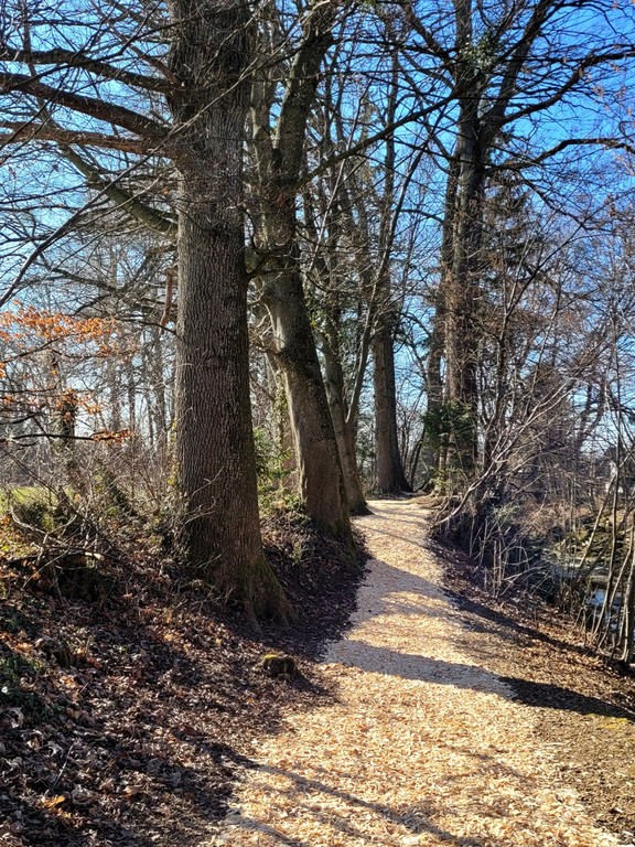 Wege INSTANDSETZUNG 10-03-2022 _26_.jpg