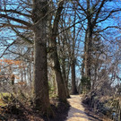 Wege INSTANDSETZUNG 10-03-2022 _26_.jpg