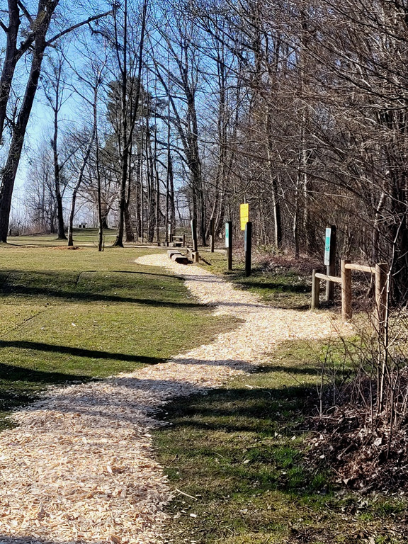 Wege INSTANDSETZUNG 10-03-2022 _19_.jpg