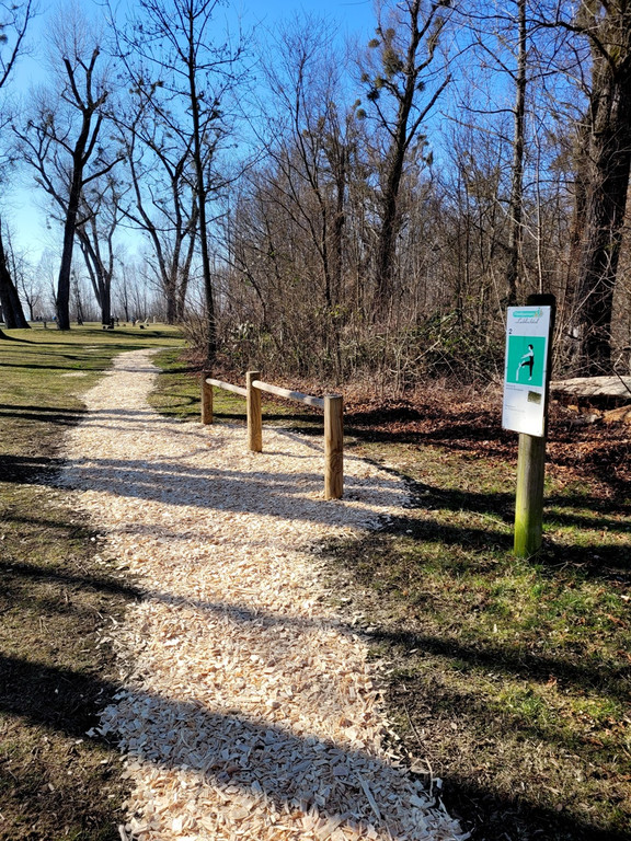 Wege INSTANDSETZUNG 10-03-2022 _18_.jpg