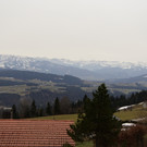 2022_03_16-00012-1.JPG