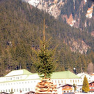 Funken Wald a_ A_ 2022 _19_.jpg