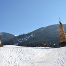Funken Wald a_ A_ 2022 _24_.jpg