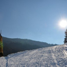 Funken Wald a_ A_ 2022 _26_.jpg