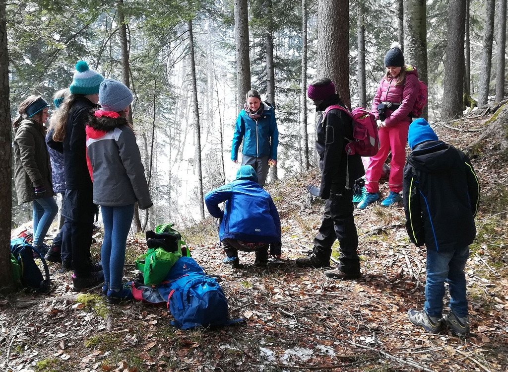 Wald ausflug.jpg