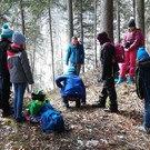 Wald ausflug.jpg