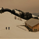 IMG_7754.JPG