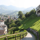 IMG_4146.jpg