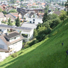 IMG_4147.jpg