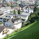 IMG_4148.jpg