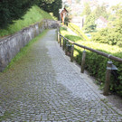 IMG_4150.jpg