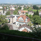 IMG_4155.jpg