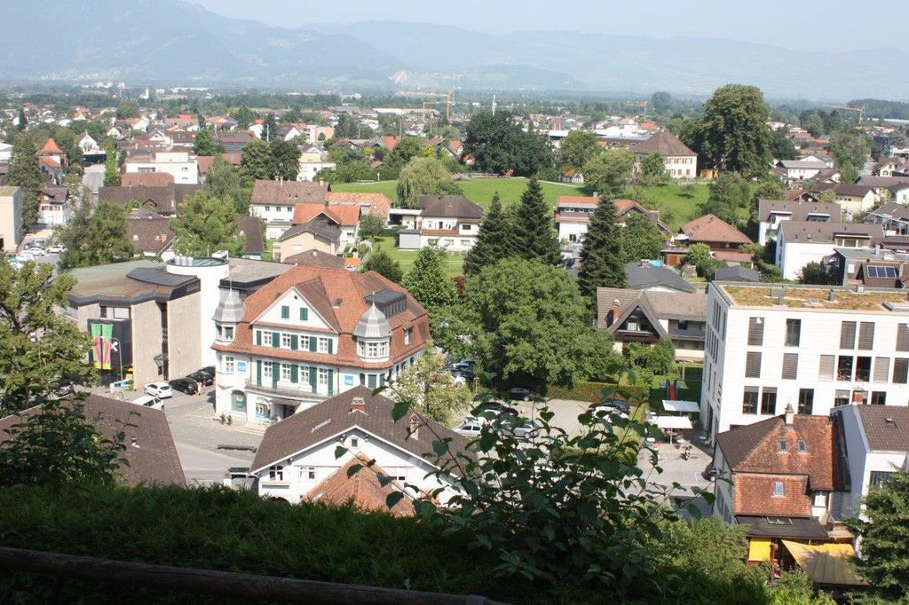 IMG_4156.jpg
