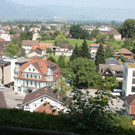 IMG_4156.jpg