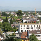 IMG_4158.jpg