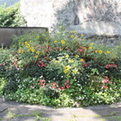 IMG_4162.jpg