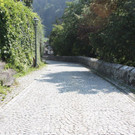 IMG_4177.jpg