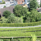 IMG_4185.jpg