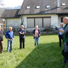 Von der Baumerziehung, Schnitttechniken bis zum Wuchsgesetz