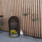 DSC07743.JPG