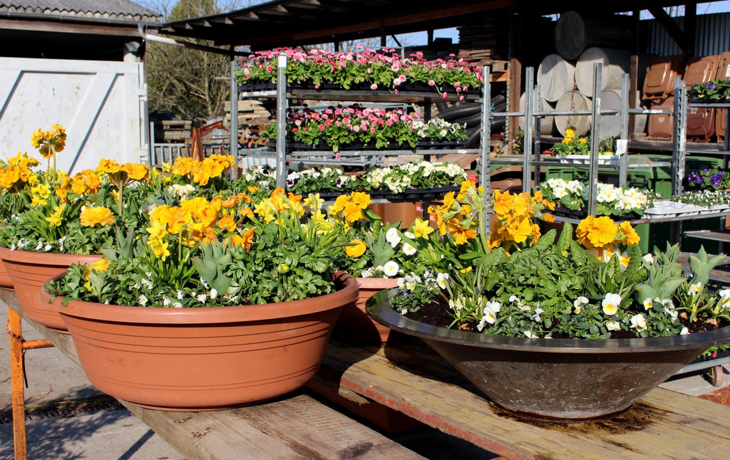 Fr__hling Bepflanzung mit SINZ Michael START 25-03-2022 _5_.JPG