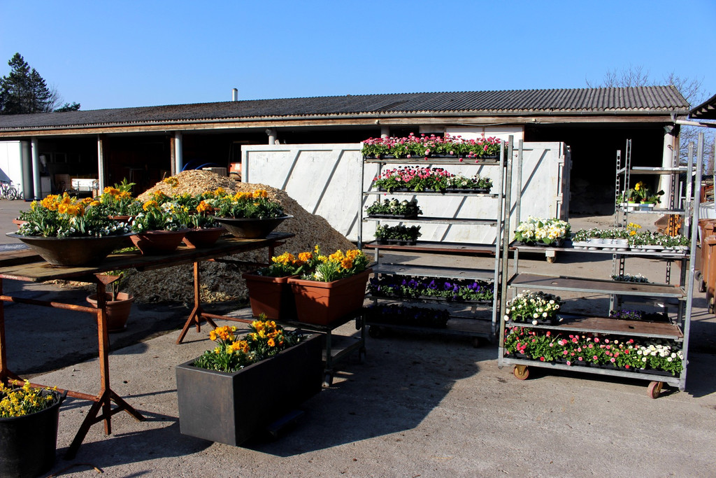 Fr__hling Bepflanzung mit SINZ Michael START 25-03-2022 _4_.JPG