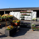 Fr__hling Bepflanzung mit SINZ Michael START 25-03-2022 _4_.JPG