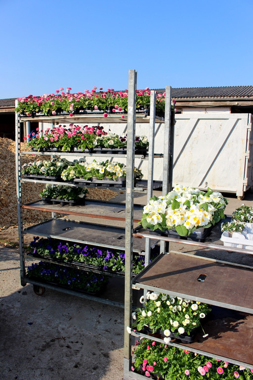 Fr__hling Bepflanzung mit SINZ Michael START 25-03-2022 _7_.JPG