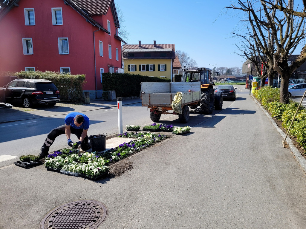 Fr__hling Bepflanzung mit SINZ Michael START 25-03-2022 _11_.jpg