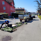 Fr__hling Bepflanzung mit SINZ Michael START 25-03-2022 _11_.jpg