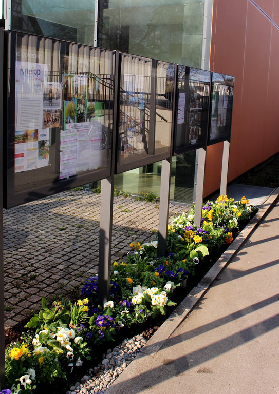 Fr__hling Bepflanzung mit SINZ Michael START 25-03-2022 _10_.JPG