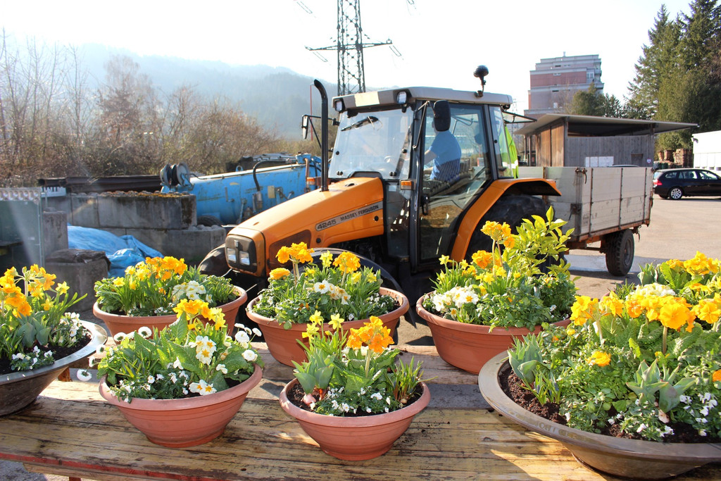 Fr__hling Bepflanzung mit SINZ Michael START 25-03-2022 _6_.JPG