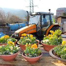 Fr__hling Bepflanzung mit SINZ Michael START 25-03-2022 _6_.JPG