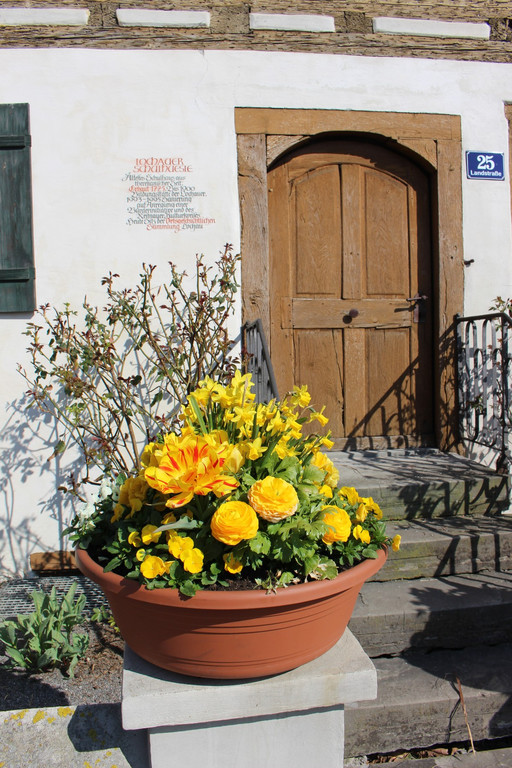 Fr__hling BEPFLANZUNG NEU Symbolfoto _1_.JPG