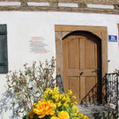 Fr__hling BEPFLANZUNG NEU Symbolfoto _1_.JPG