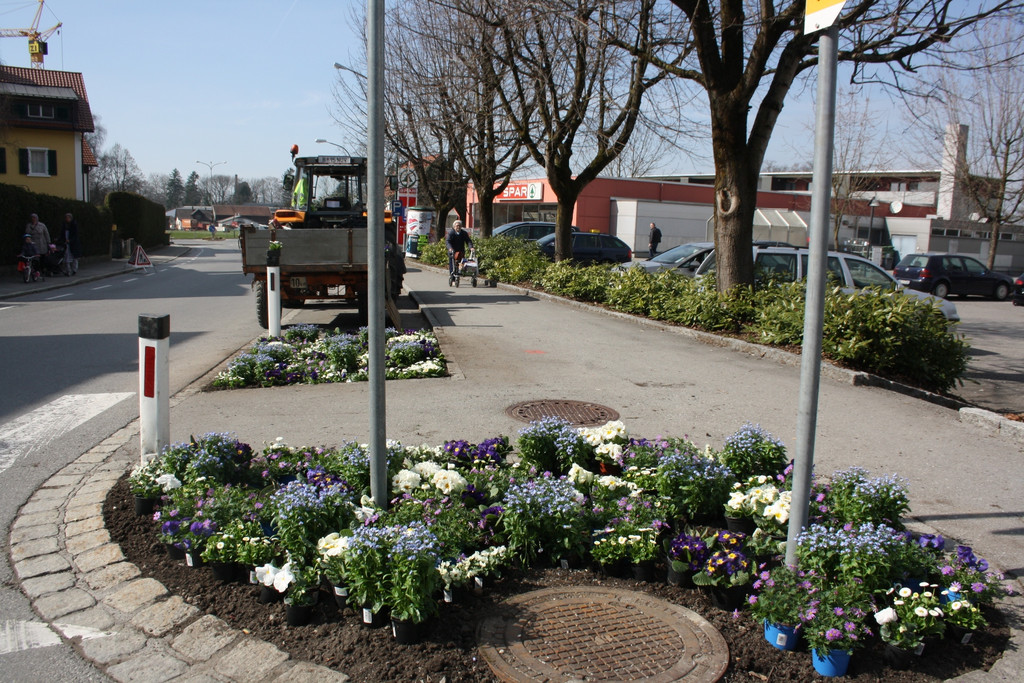 Fr__hling BEPFLANZUNG NEU Symbolfoto _5_.JPG