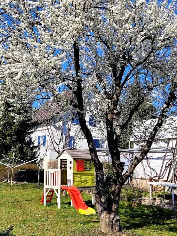 Fr__hling BEPFLANZUNG NEU Symbolfoto _4_.jpg