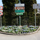 Fr__hling BEPFLANZUNG NEU Symbolfoto _6_.JPG