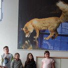 Süßer Küken-Alarm in der inatura 