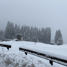 schnee wetterumschwung _3_.jpg