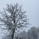 schnee wetterumschwung _8_.jpg