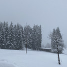 schnee wetterumschwung _9_.jpg