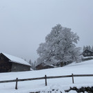 schnee wetterumschwung _10_.jpg