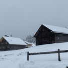 schnee wetterumschwung _11_.jpg