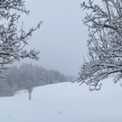 schnee wetterumschwung _12_.jpg