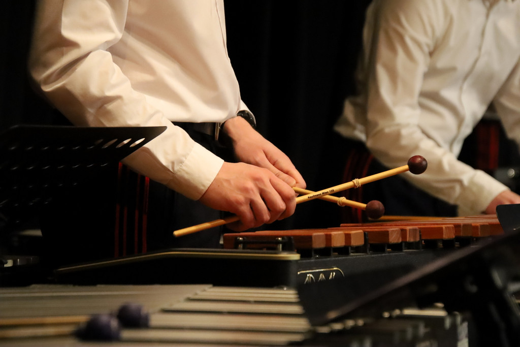Konzert MV _62_.JPG