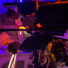 IMG_2745.jpeg