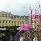 Ostermarkt-Schloss-Schoenbrunn-__ostermarkt_co__at_FOTOFALLY_0596-1024x683.jpg