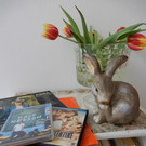 Konzert und Flohmarkt für den guten Zweck 